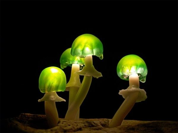 荧光蘑菇