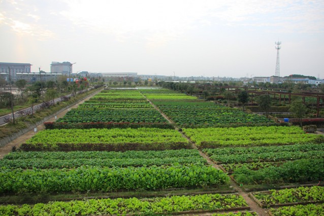 湘台生态农业科技园