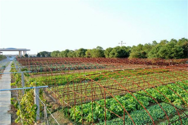 长沙县绿世界生态农庄