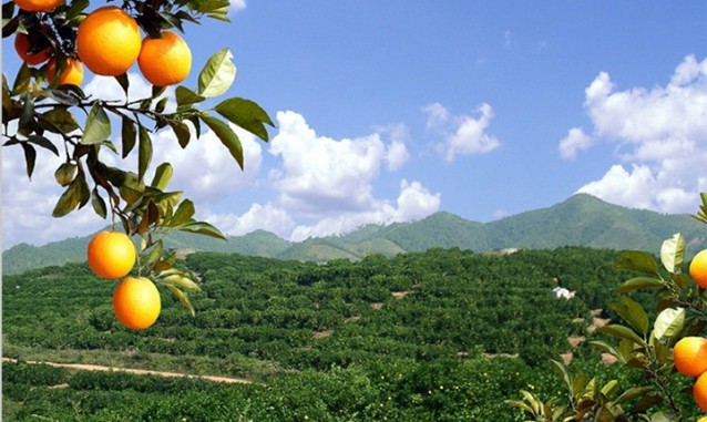 江西万里长橙生态农业开发有限公司
