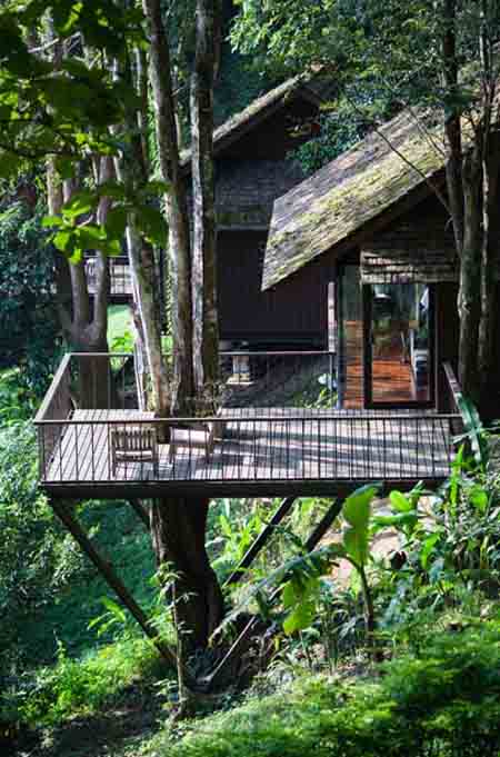 泰国山林小屋